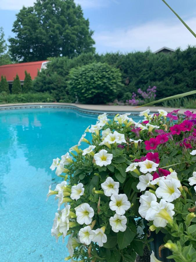 Manoir Alegria Bed & Breakfast *